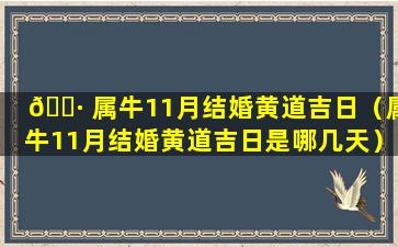 🌷 属牛11月结婚黄道吉日（属牛11月结婚黄道吉日是哪几天）